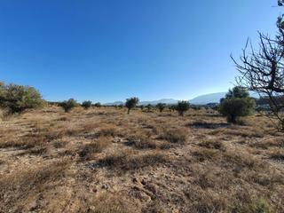 Terreno residenziale  Partida la solana