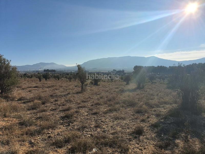 Foto 1626179c-b9b2-463b-a0ec-1859ed1d5c26. Wohngrundstück in San Francisco Villena