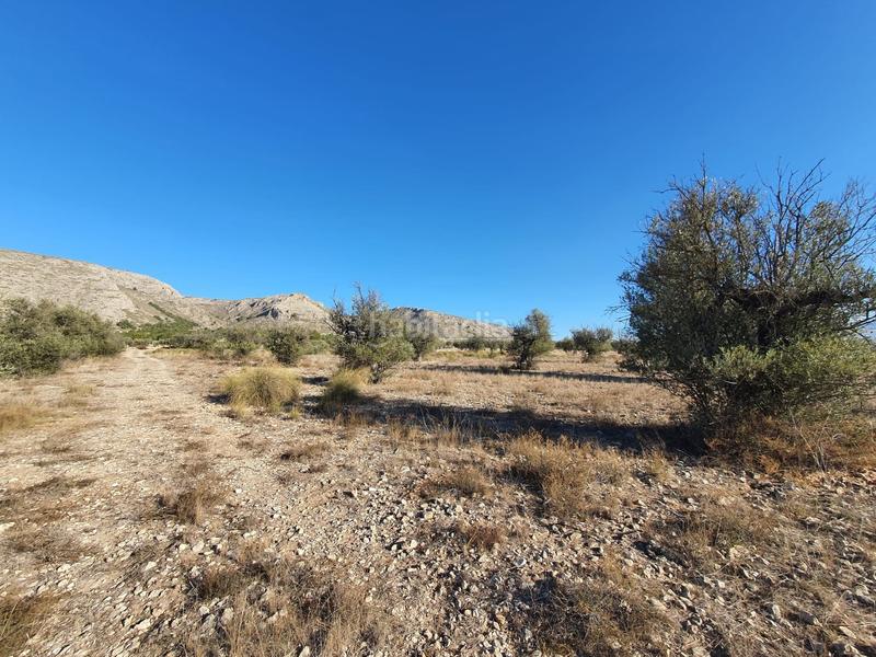 Foto 60f703b9-1f34-46ec-8490-d48f3df5bff2. Wohngrundstück in San Francisco Villena