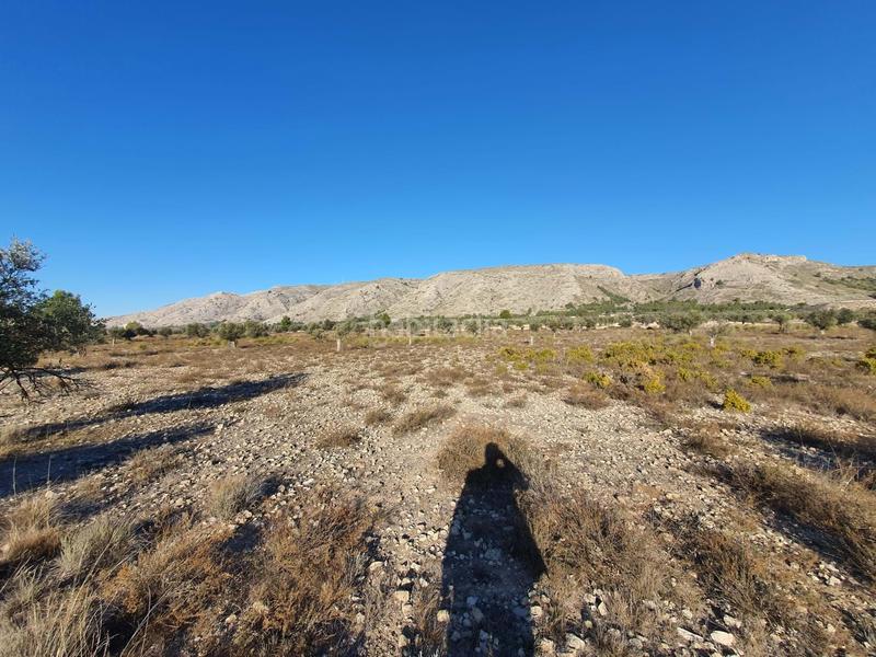 Foto 8871af36-031c-4fc7-ab4e-5b8c7fecf63e. Wohngrundstück in San Francisco Villena