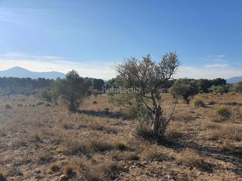 Foto ab3b20a4-244c-486c-905c-3c6253f6b763. Wohngrundstück in San Francisco Villena