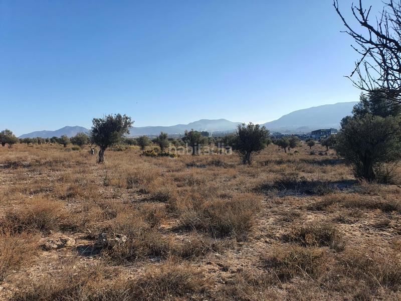 Foto c2f8167a-927e-4090-a361-ecd174a06a93. Wohngrundstück in San Francisco Villena