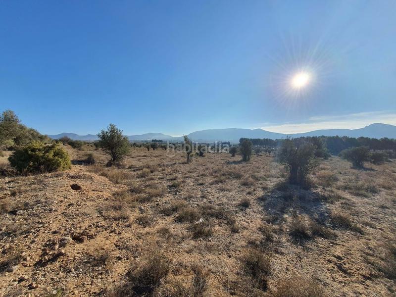 Foto d42b14be-24c8-4e65-93f2-edc079a55e6e. Wohngrundstück in San Francisco Villena