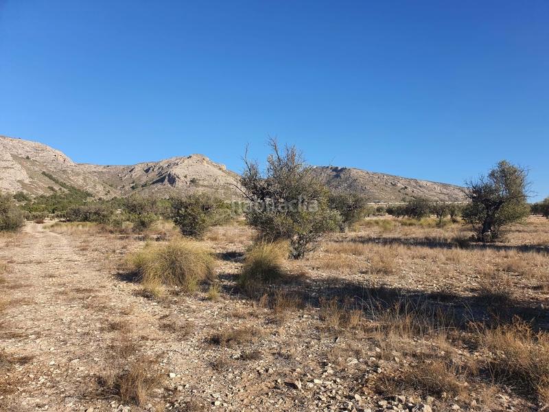 Foto ec6883d6-e012-4b65-a11c-e10b99f9bfe6. Wohngrundstück in San Francisco Villena