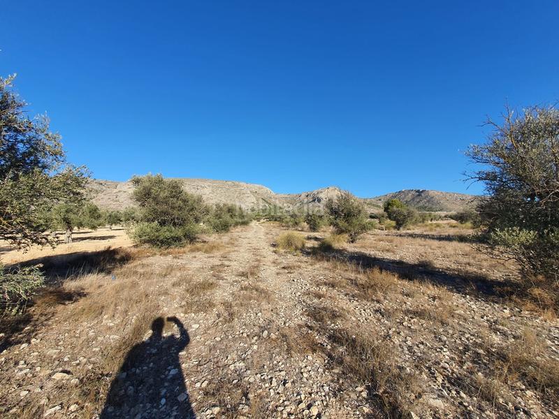 Foto ed84f962-ab5b-44f6-8fea-3c235ebcd042. Wohngrundstück in San Francisco Villena