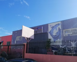Nau industrial  Delfina viudes s/n