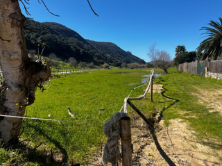 Terreny residencial  Paseo del brusco