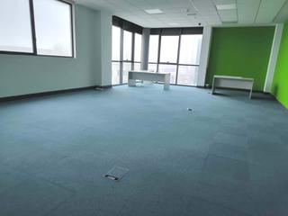 Office space  Los olmos iribidea d