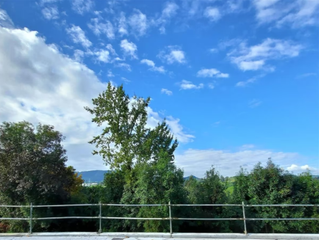 Residential Plot  Calle gamiz bidea
