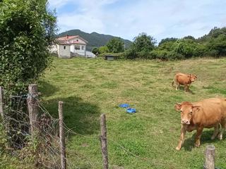 Residential Plot  Barrio pino