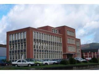 Location Bureau  Tres cruces