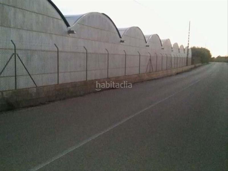 Foto 983b1028-e3dc-4a53-b417-b5e5c11d3647. Lloguer nau industrial a Perleta - Maitino Elche / Elx