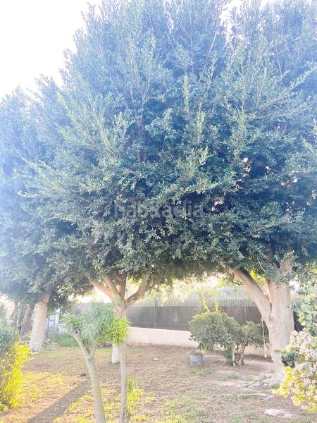 Foto 15a5c795-bfc0-4ddc-9fbf-93aa20f147a1. Haus mit pool in La Foia - Daimés - Asprella Elche / Elx