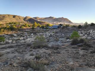 Fabrikhalle  Partida collao
