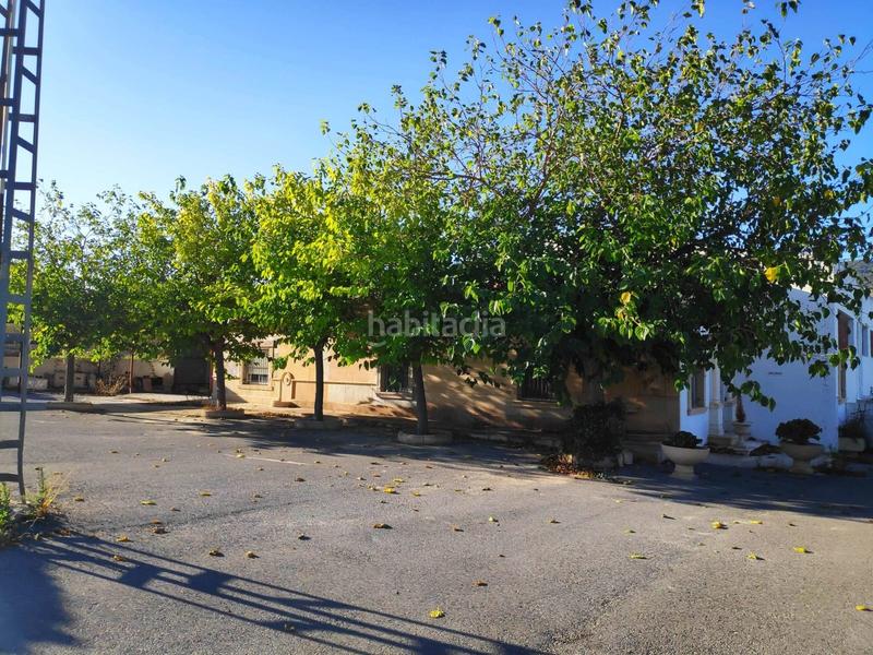 Foto 458dc1d2-384e-45fd-9074-2f22d0f69fb5. Nau industrial a Hondón de las Nieves