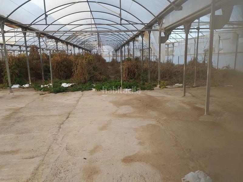 Foto bf052126-ada4-4e08-9853-bfa6f4354997. Residential plot in Pont Nou - Corazón de Jesús Elche / Elx