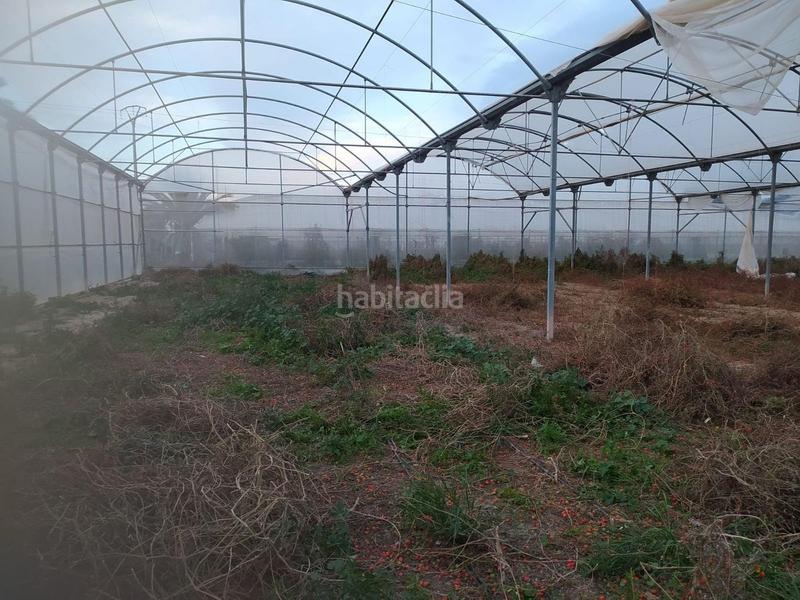 Foto fe99a1cd-8074-47c1-ae45-8690651c7d94. Terrain résidentiel dans Pont Nou - Corazón de Jesús Elche / Elx