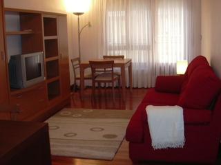 Location Appartement  Islas canarias. Estupendo piso en alquiler en sarriko