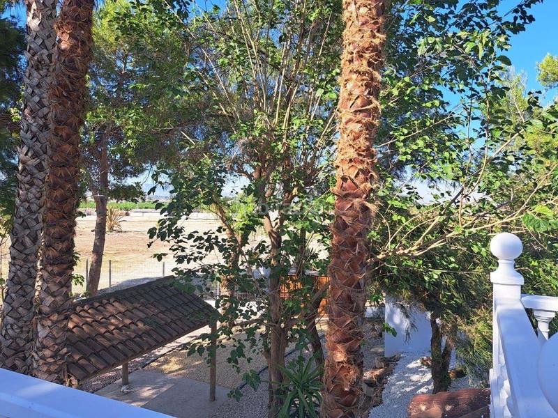 Foto 4aa02ab1-648c-4ad0-96a8-8af32880b862. Maison avec piscine dans Desamparados - Hurchillo - Torremendo Orihuela