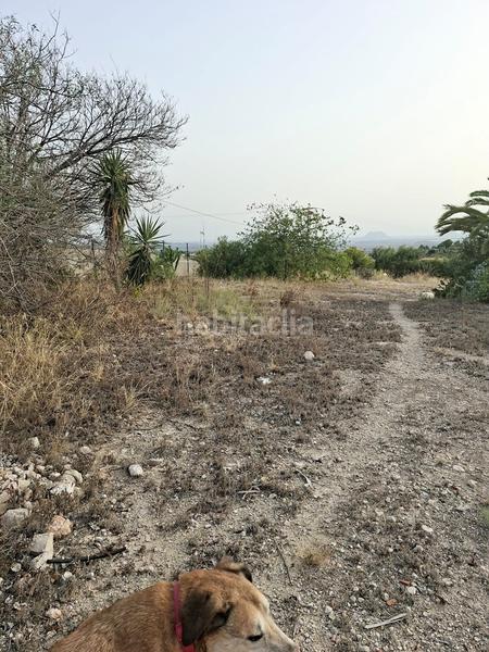 Foto 2270108a-31de-4e12-ae42-1c362292f94d. Terrain résidentiel dans Busot