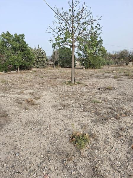 Foto a950e95f-480e-4b39-a586-988183c404c5. Terrain résidentiel dans Busot