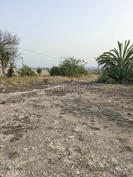 Foto 1ca84d82-7383-45a9-9235-fdbe98464631. Terreno residenziale in Busot