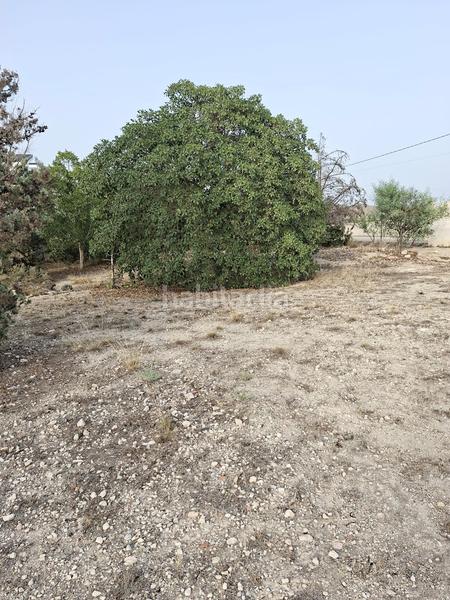 Foto 411dffe6-dc99-402c-95db-0c3207336e94. Terreno residenziale in Busot