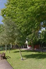 Appartement  Judimendi