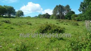 Terreny residencial  Mendiondo s/n