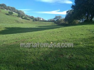 Terreno residenziale  Abanto  cerca campo de futbol las carreras.