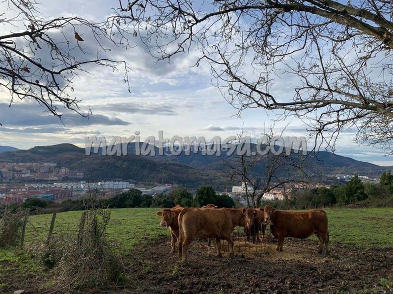Foto f3892b83-0394-4911-b3b0-468ffc3023a0. Casa a Otxarkoaga Bilbao