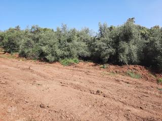 Residential Plot  Residencial número