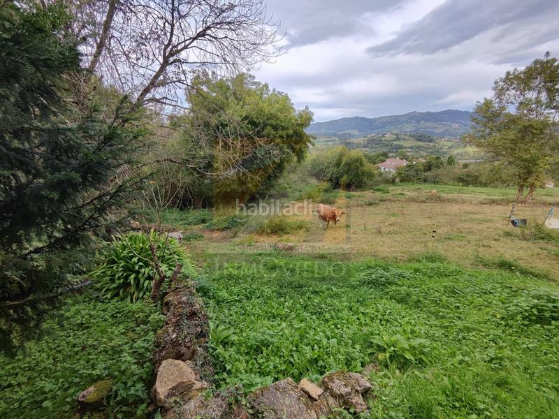 Foto 7222479f-103e-41ed-9a0d-f08ced5a4945. Terreno residenziale in sograndio 0 in San Claudio - Trubia - Las Caldas Oviedo
