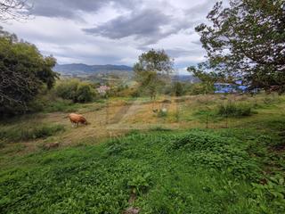 Residential Plot in Sograndio 0. Venta de dos fincas edificables en sograndio