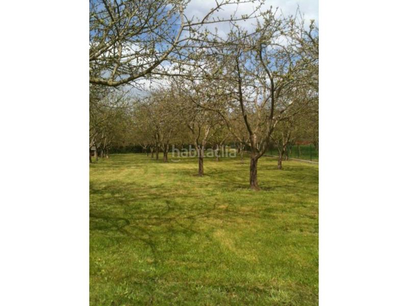 Foto 11959358-c015-4925-ae91-cc489e2cb55d. Terrain résidentiel dans San Justo - Bedriñana Villaviciosa