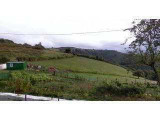 Landgut  Friera. Terreno en venta edificable a 10 minutos de oviedo en san esteba
