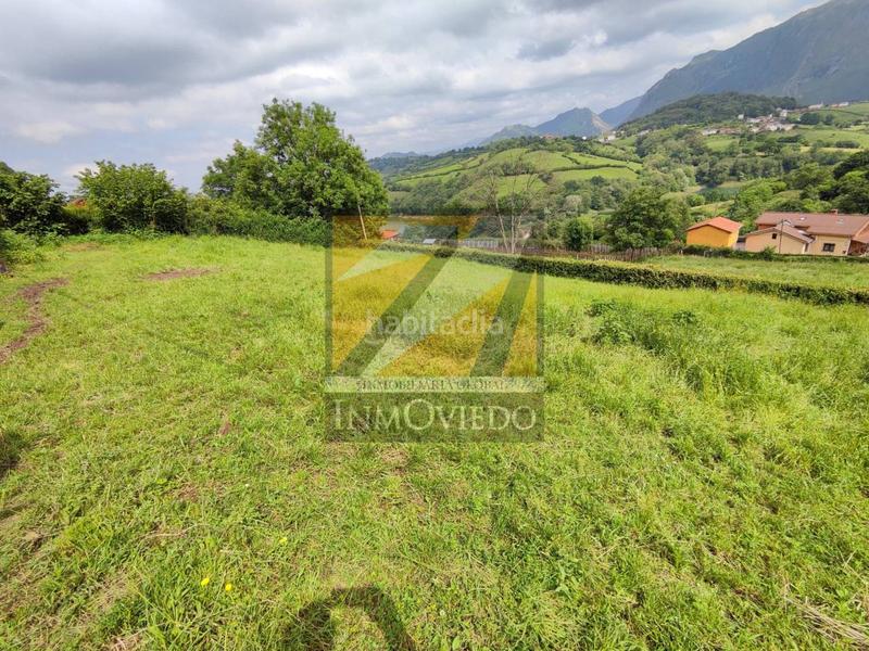 Foto 7d2bd673-a27f-442f-a02d-c8c6e2a28b1f. Terrain résidentiel dans Morcín