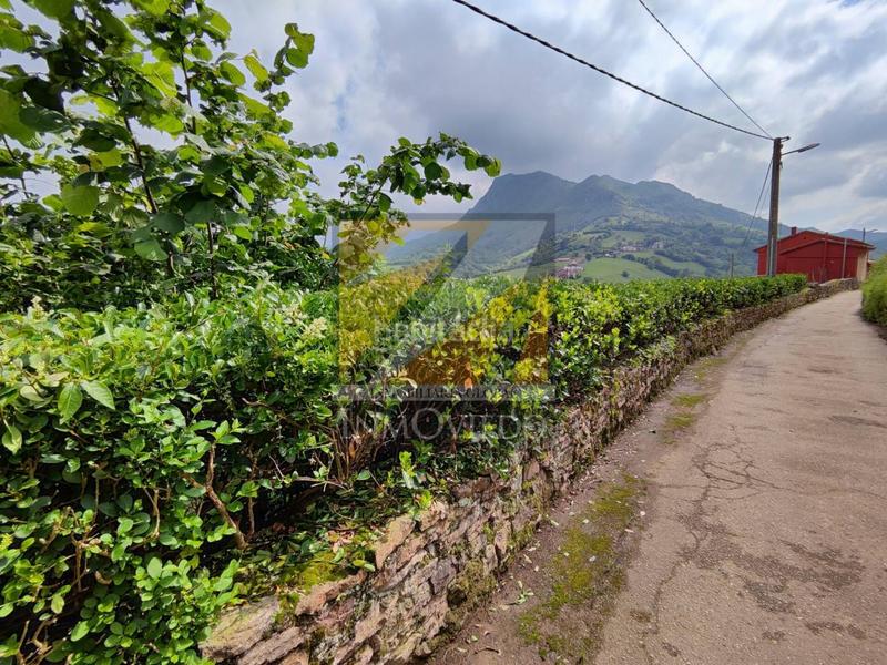 Foto e788fb5c-01af-42cc-a507-444c289691f7. Terrain résidentiel dans Morcín