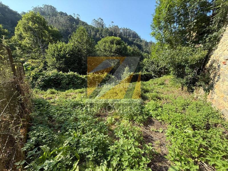Foto 444e2251-8c48-484a-b19c-a99d1478bdeb. Casa se vende preciosa casa en vegarrionda, infiesto en Piloña
