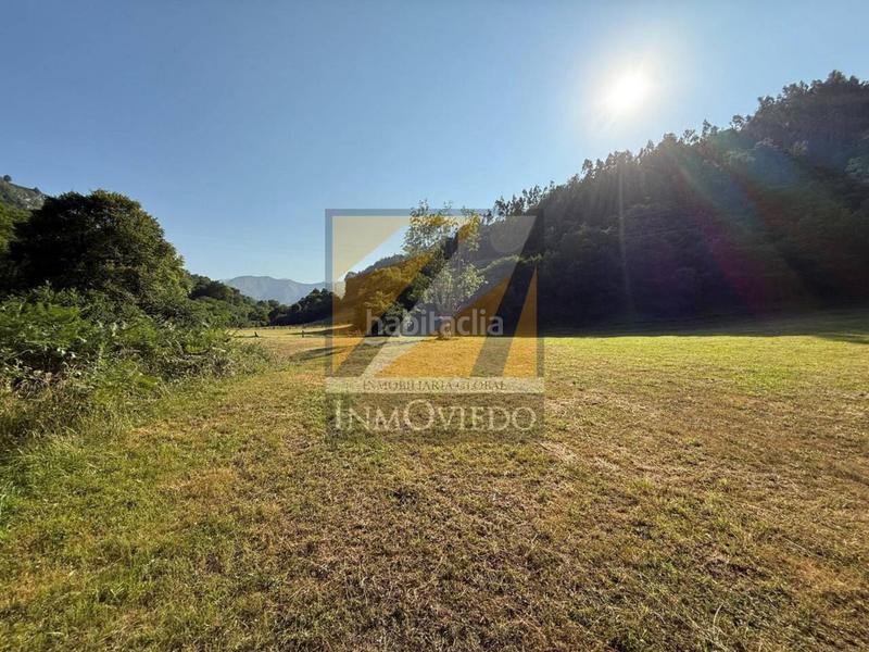 Foto 55535635-6975-457a-8f95-9fd332b744d3. Casa se vende preciosa casa en vegarrionda, infiesto en Piloña