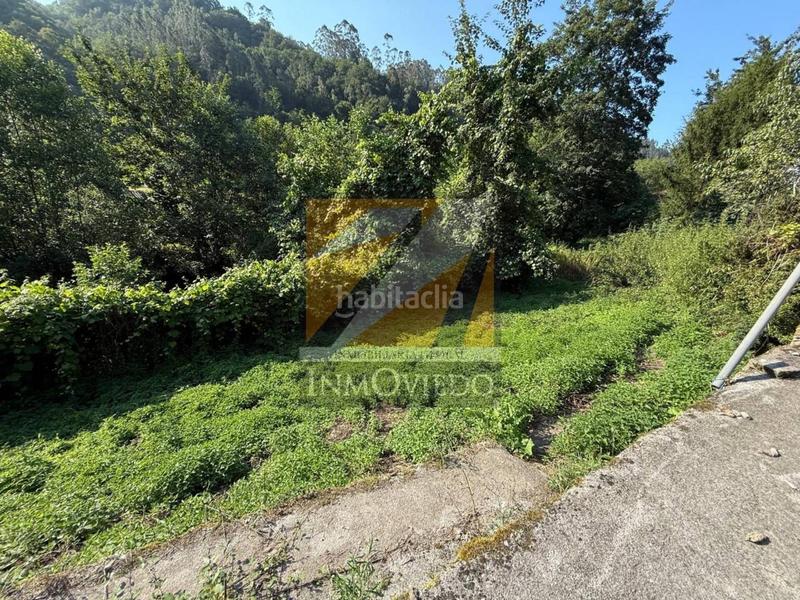 Foto 56bad019-abe5-4ac3-bf8b-cf3ecc13ca02. Casa se vende preciosa casa en vegarrionda, infiesto en Piloña