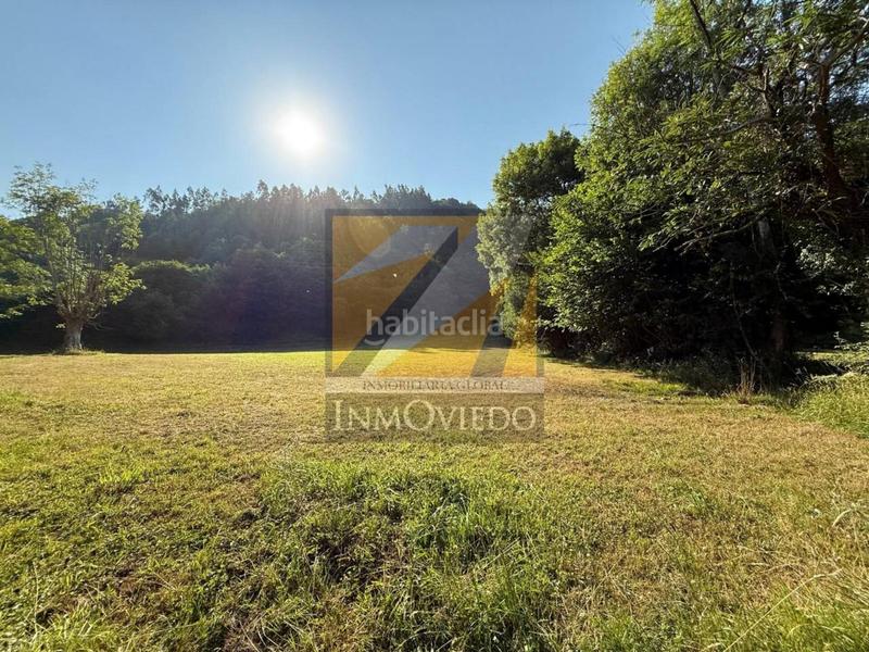 Foto b2b17ce6-f243-4f13-b0c6-40b8b16f4695. Casa se vende preciosa casa en vegarrionda, infiesto en Piloña