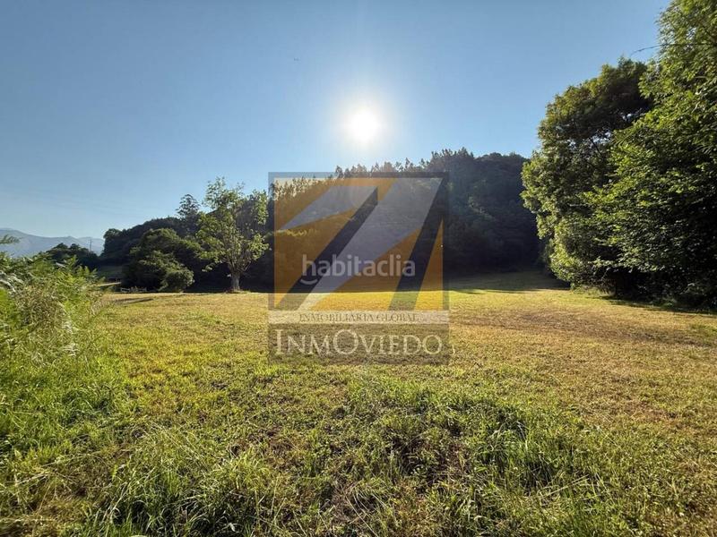 Foto e2c03481-c28a-40b0-b0b0-f89d8bfc9dcd. Casa se vende preciosa casa en vegarrionda, infiesto en Piloña