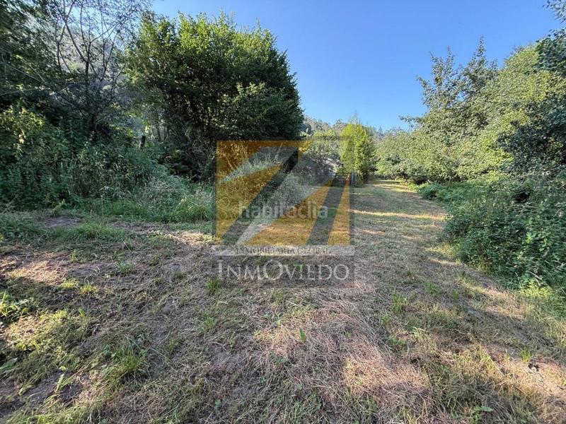 Foto ee878226-22dd-4d43-b1d3-da4bc20fbf5e. Casa se vende preciosa casa en vegarrionda, infiesto en Piloña