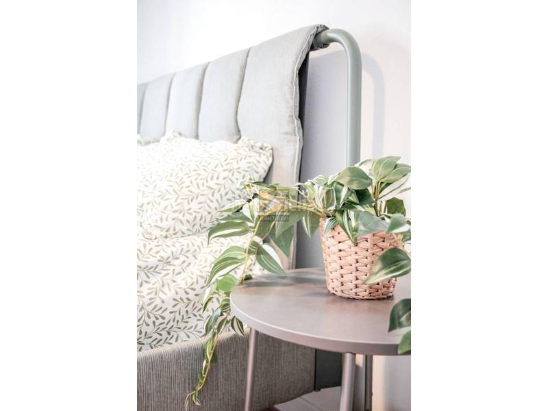 Foto 879d9d4e-613b-4dab-9b2b-36cbe262c634. Pis amb calefacció a Auditorio - Seminario - Parque de Invierno Oviedo