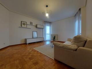 Location Appartement  Logroño - luis barron. Vivienda amplio de 1 dormitorio en el centro, junto a calle gonz