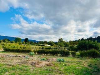 Terreny residencial a Mendebaldea - Ermitagaña. Se vende huerta de recreo en jardines del arga  pamplona