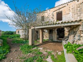 Maison à Son Bou-Sant Jaume. Finca rústica a reformar con vistas al mar en son bou, alaior
