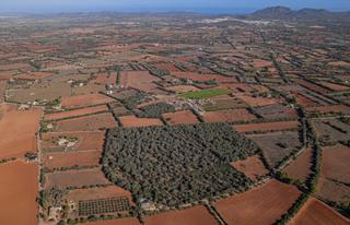 Finca rústica a Felanitx Poble. Terreno edificable en felanitx
