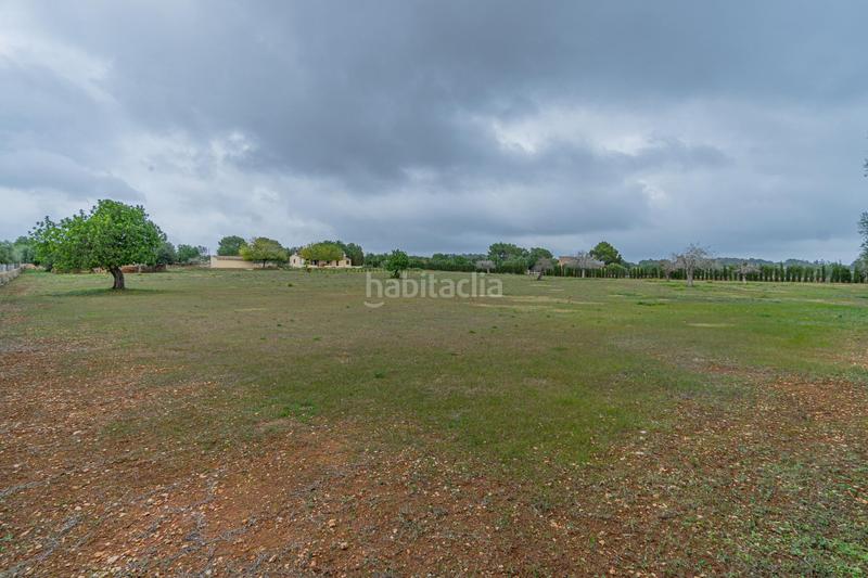 Foto 443fde98-8894-4b91-8c77-ace1a9080d40. Mas avec chauffage parking piscine dans Manacor centre Manacor